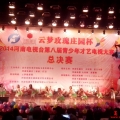 2014舞蹈大赛